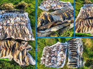Сітки на Оріль завдали збитків на 222 тисячі гривень: рибоохоронний патруль затримав порушника